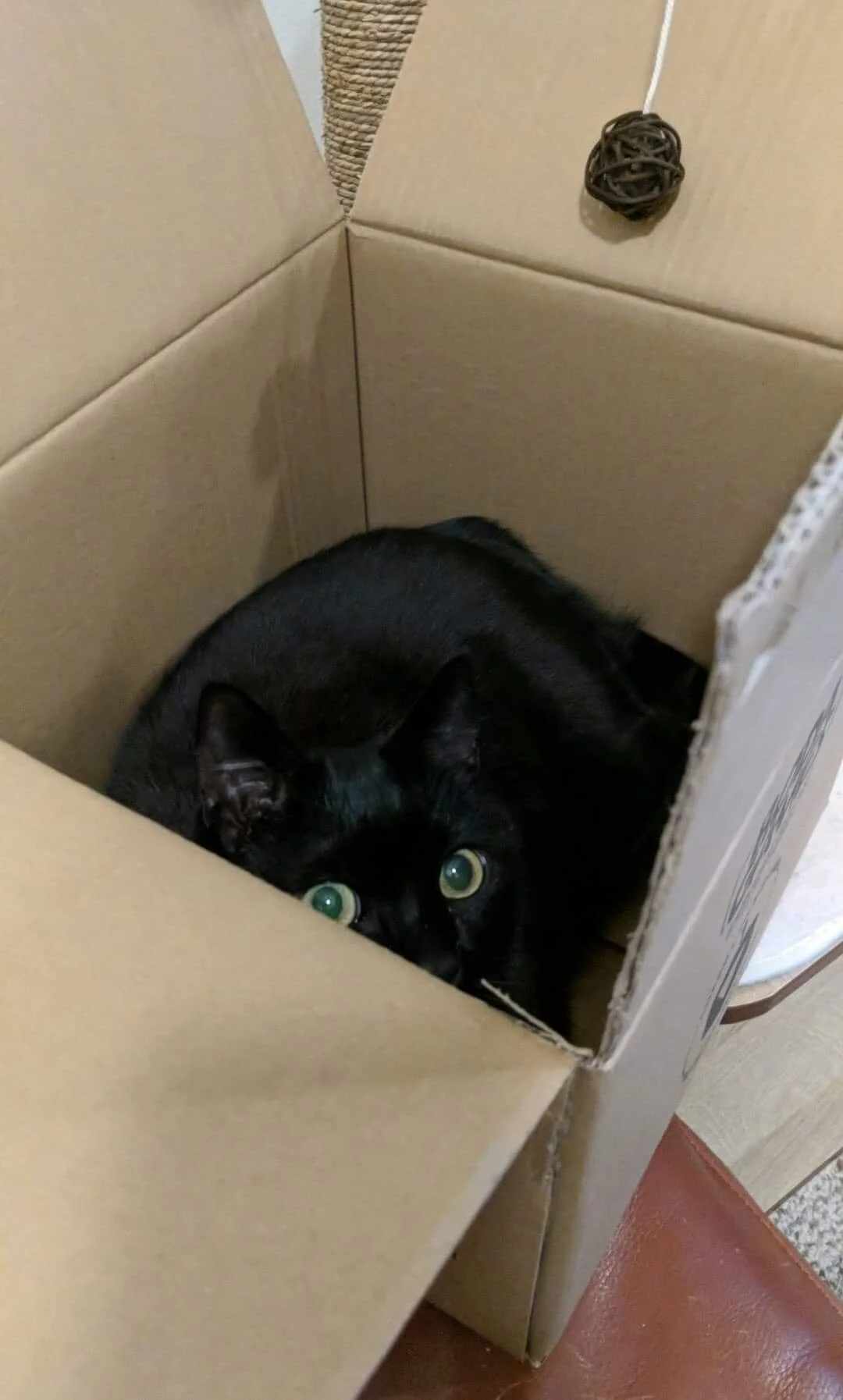 Holiday Shipping - 2020 Edition