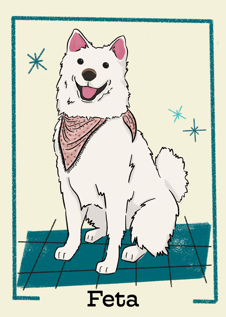 Pet Cards41.png
