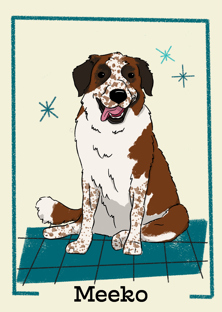 Pet Cards157.png