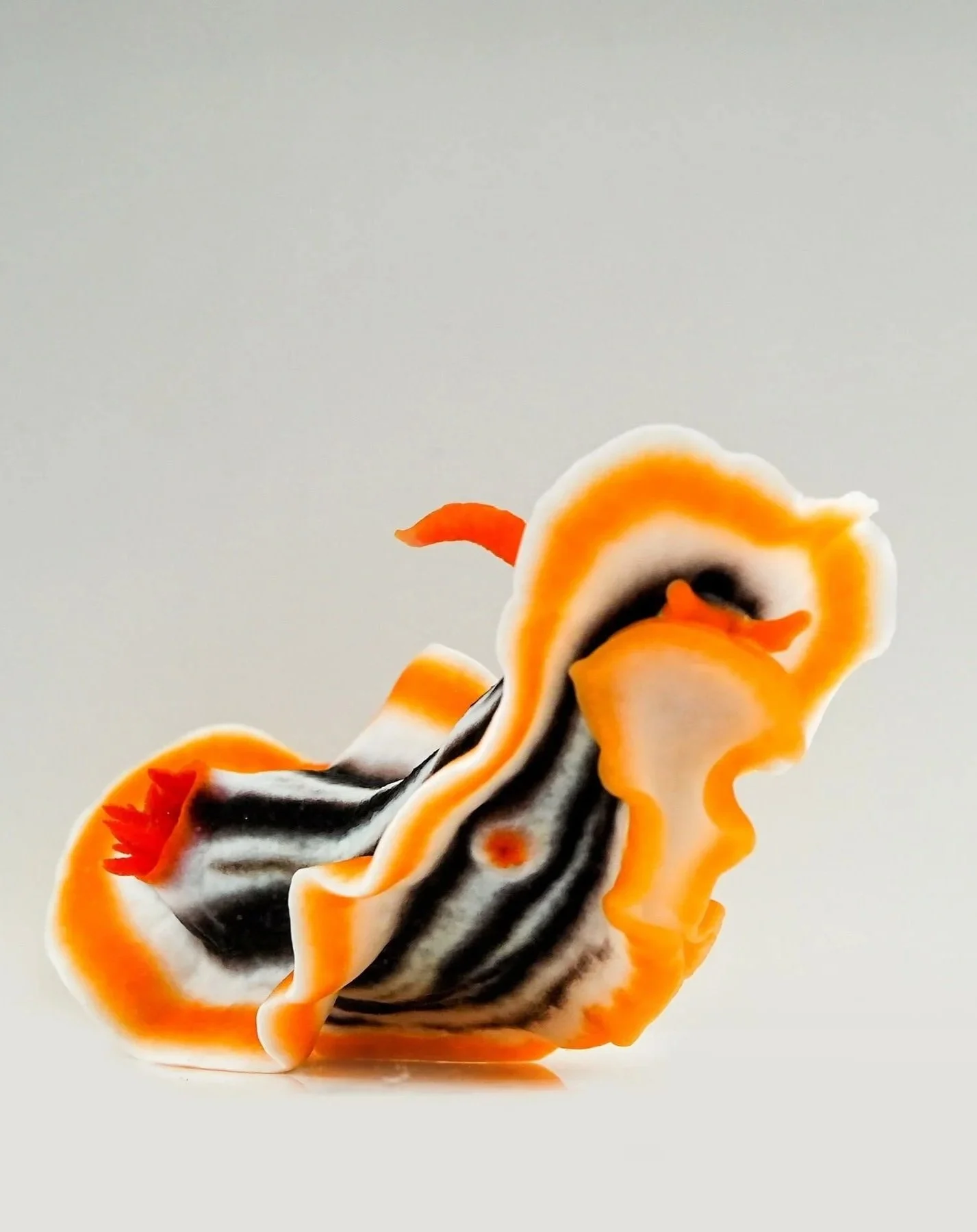 Colorful abstract swirl sculpture with orange, black, white, and red accents on a plain background.