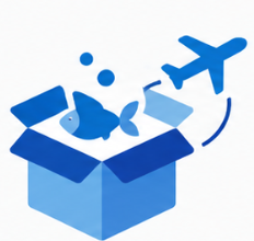 An airplane flying out of an open box, with bubbles around it.
