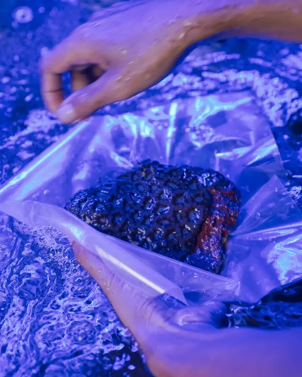 Close-up of a dark, textured rock wrapped in clear plastic under blue-purple lighting