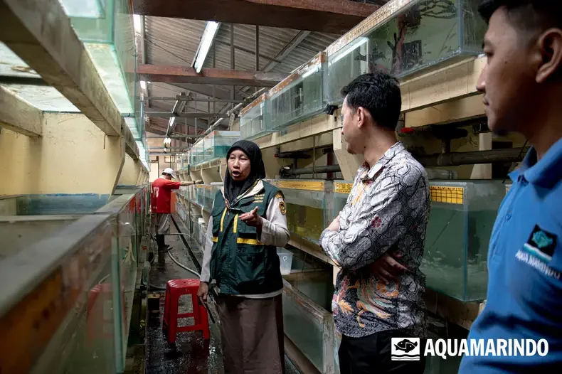inspection fish quarantine facility with badan karantina indonesia