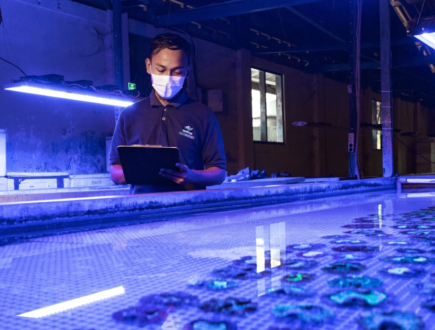 Masked worker inspecting a blue-lit aquaculture tank with a tablet.