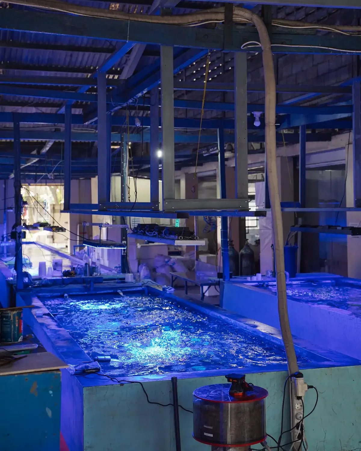 Indoor aquaculture facility with blue-lit water tanks, filtration equipment, pipes, and exposed steel roof beams