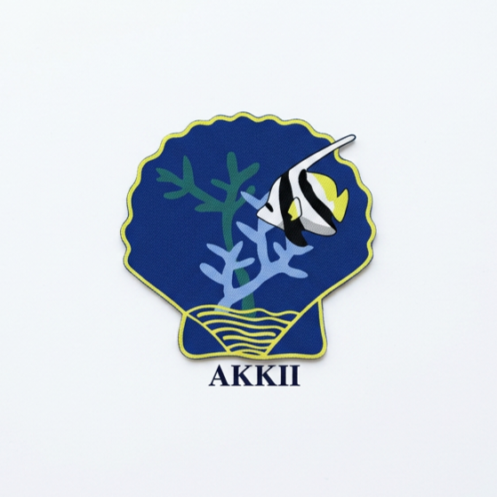 logo AKKII