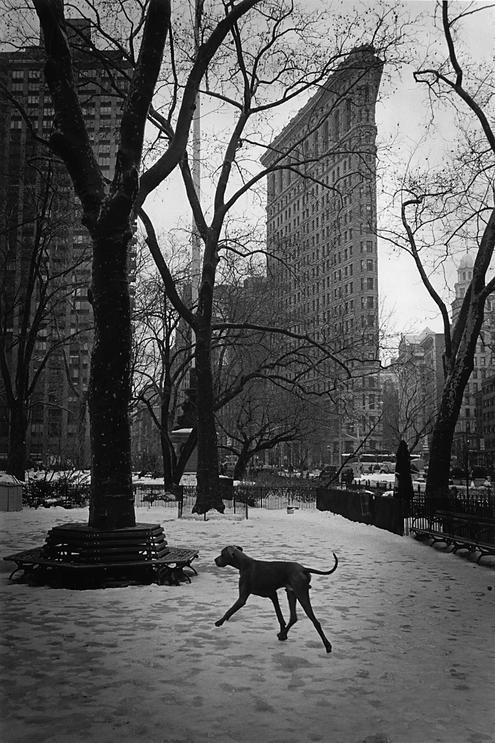 A classic look from 35mm black and white film. I was trying (and failing somewhat) to ape the genius of one of my favourite photographers, Elliott Erwitt.