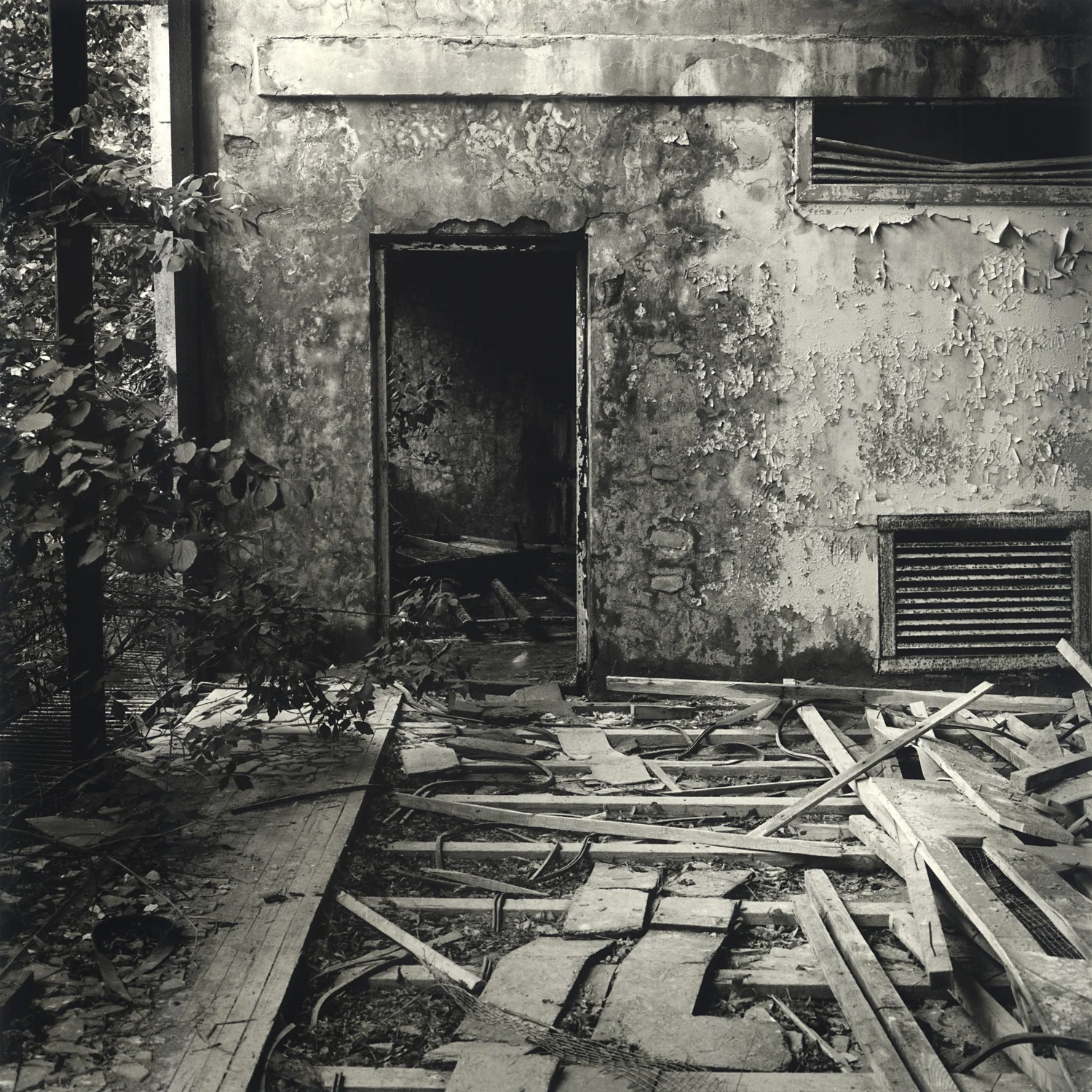 Here's some of that entropy happening in Pripyat, near Chernobyl.
