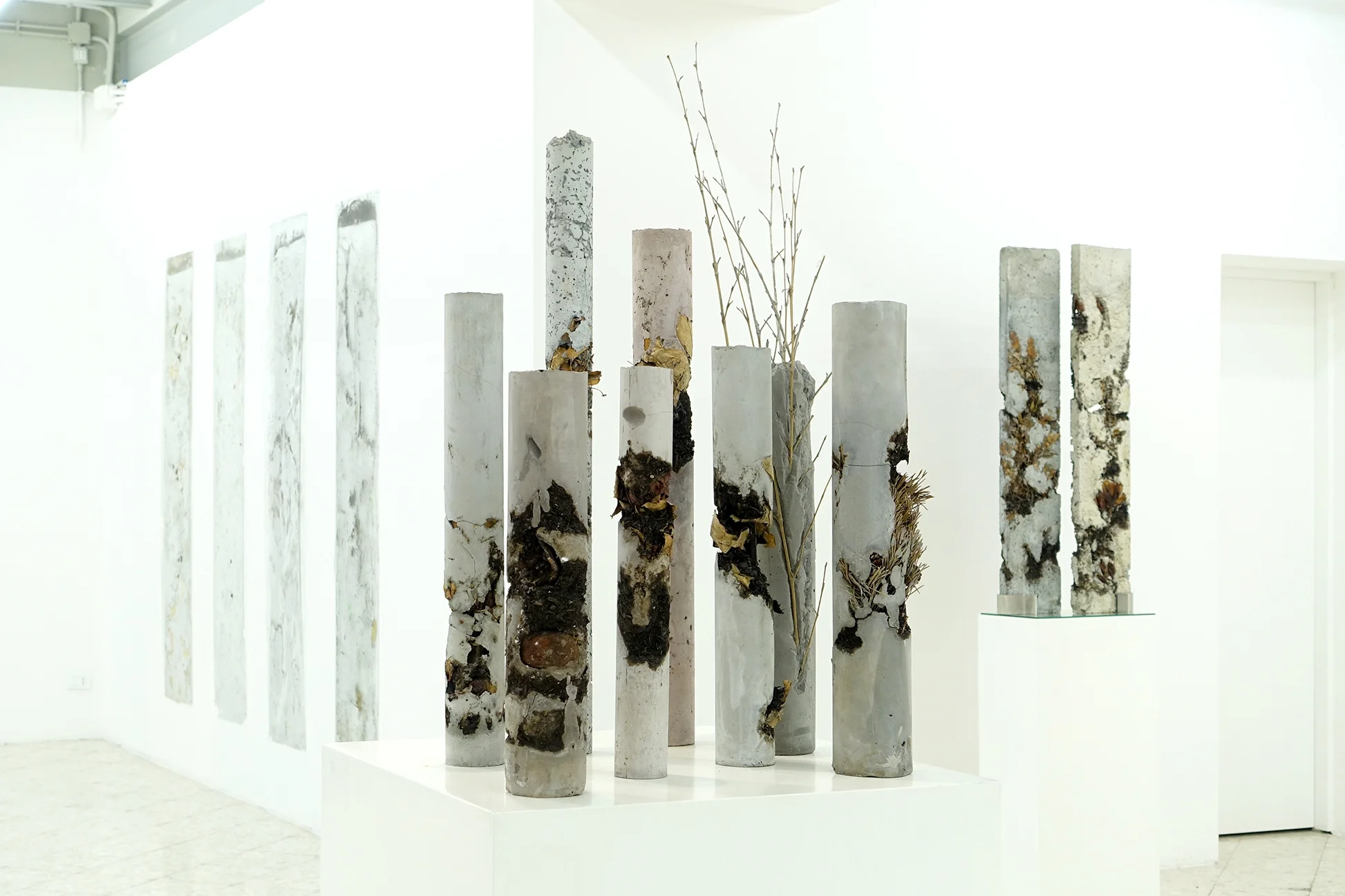 still life group installation-2.jpg