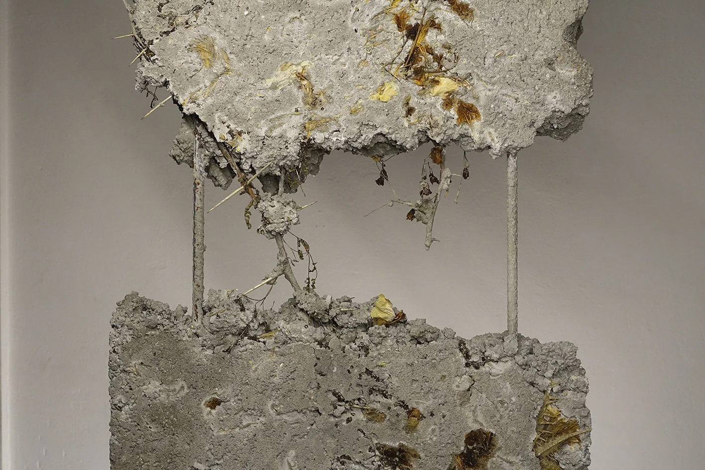 il limite era l'attesa 2017.JPG