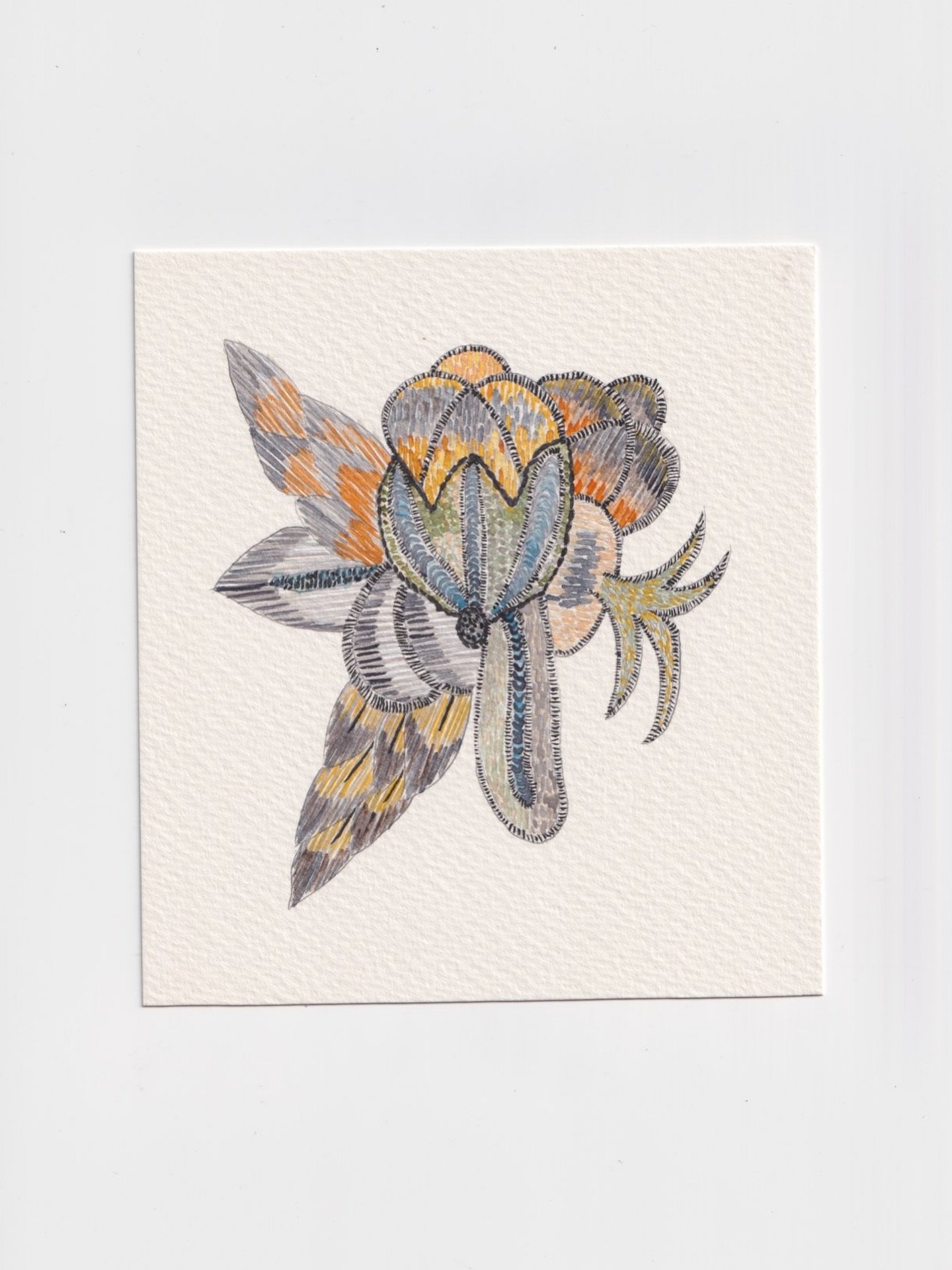 Watercolour #3.
Original artwork
Watercolour, ink
Measurements: 150mm x 163mm 
100% cotton paper, 300 gsm

Available online and at the Northcote studio - open by appointment! 

&ldquo;This new body of work has drawn inspiration from embroidery motifs