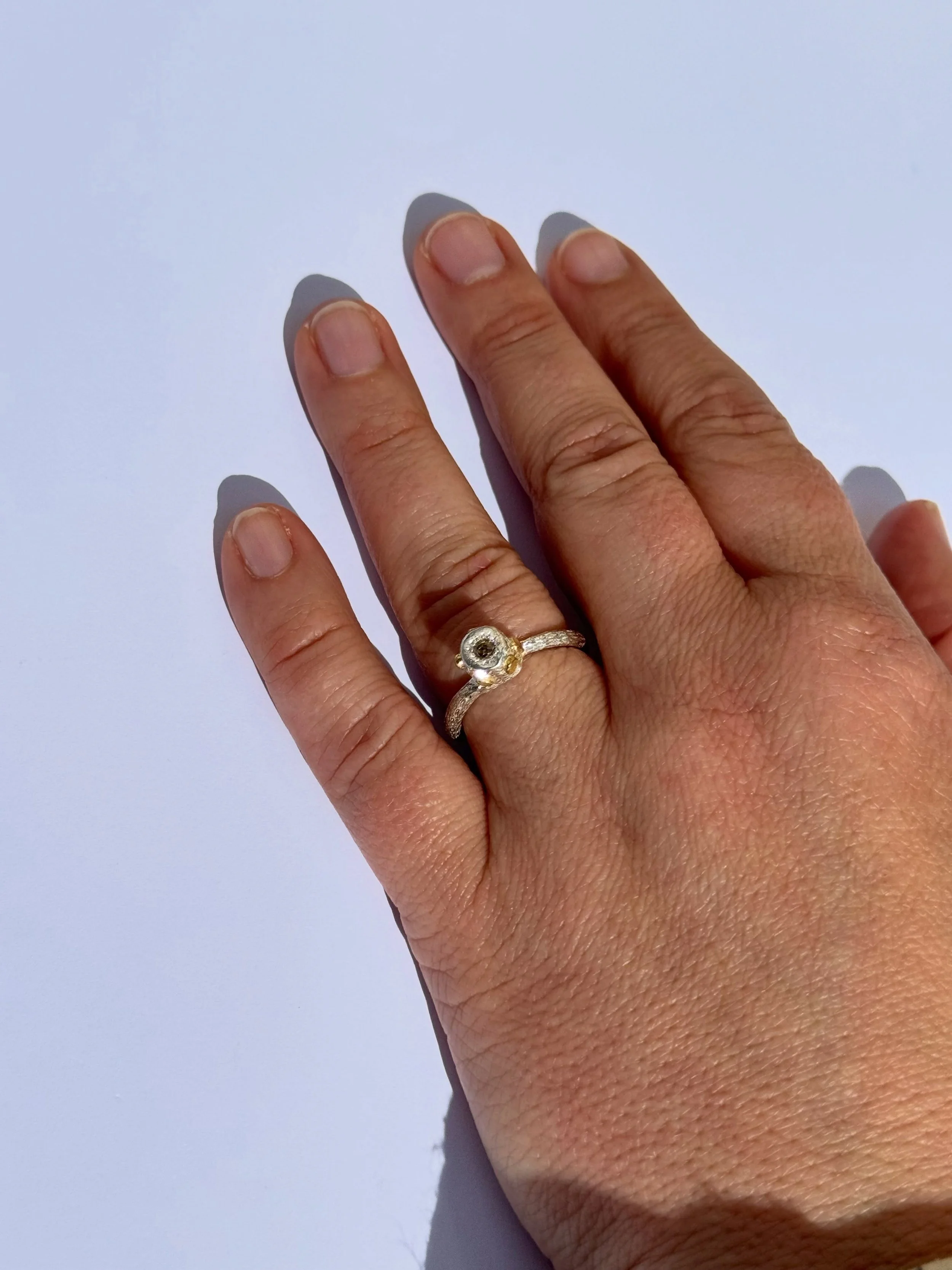 Series of One #173
Sterling silver, 18ct yellow gold ring set with a diamond.

There is one of these rings and it is exclusive to the studio and online store.
This ring can be resized.

Worn here by @tessbraham 

#diamondring #handmade #unique #jewel