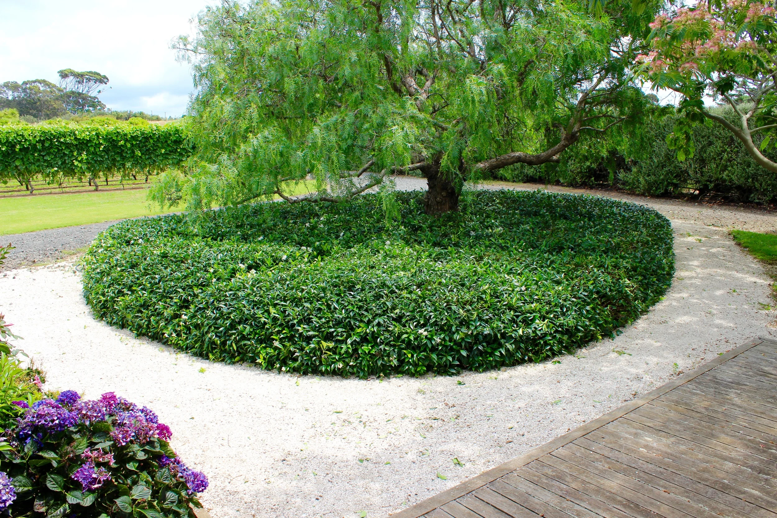  CHELTENHAM BEACH. AUCKLAND  NEW ZEALAND    
