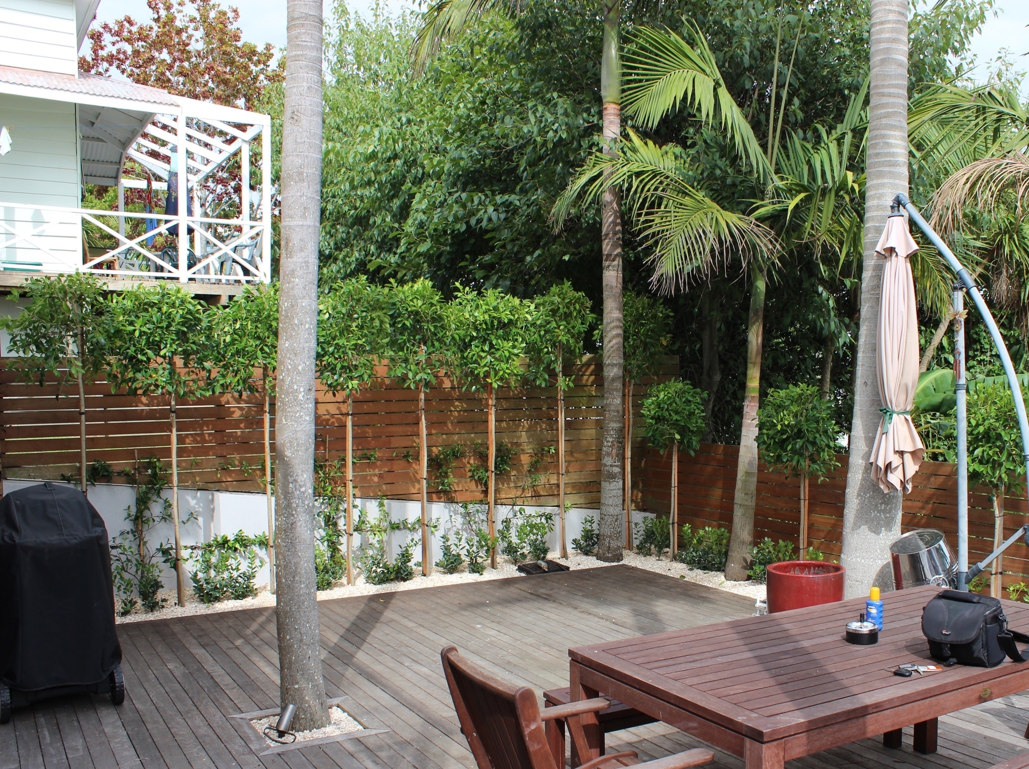  PRESENT  Pleached trees now provide privacy from neighbouring balcony&nbsp; 