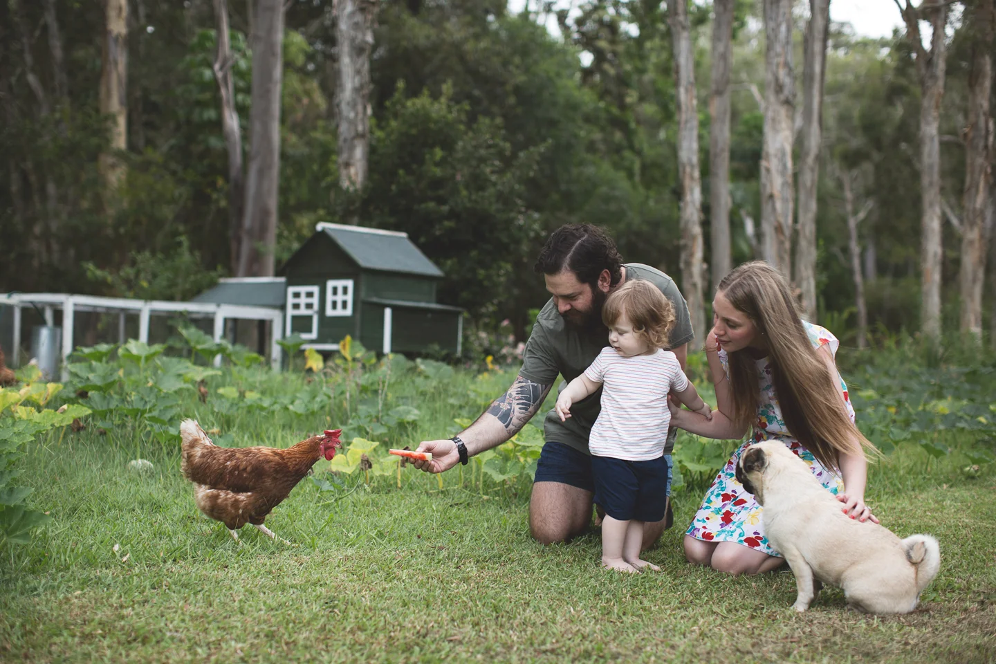 A Farm Change - Sunshine Coast