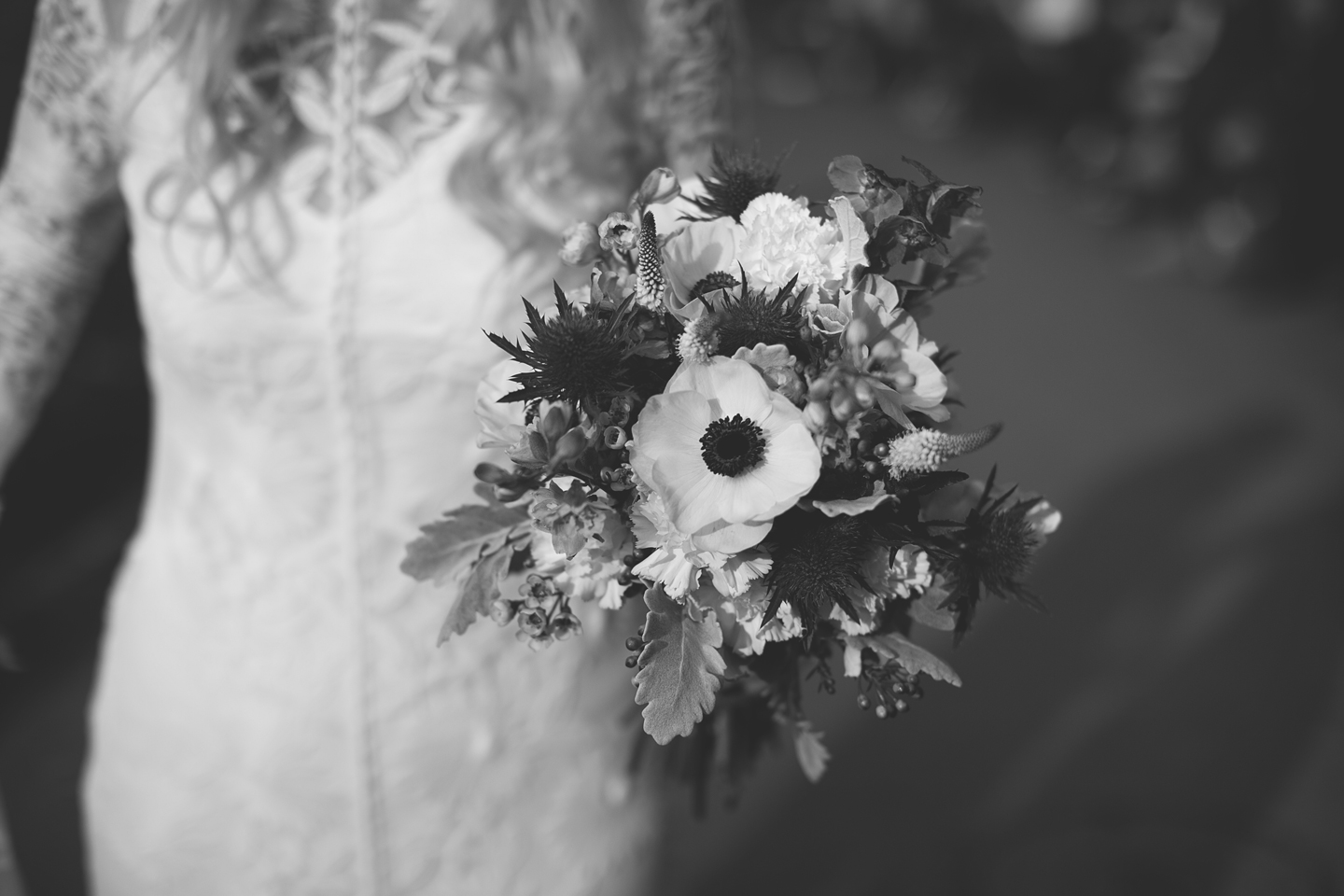 233A8108.jpg