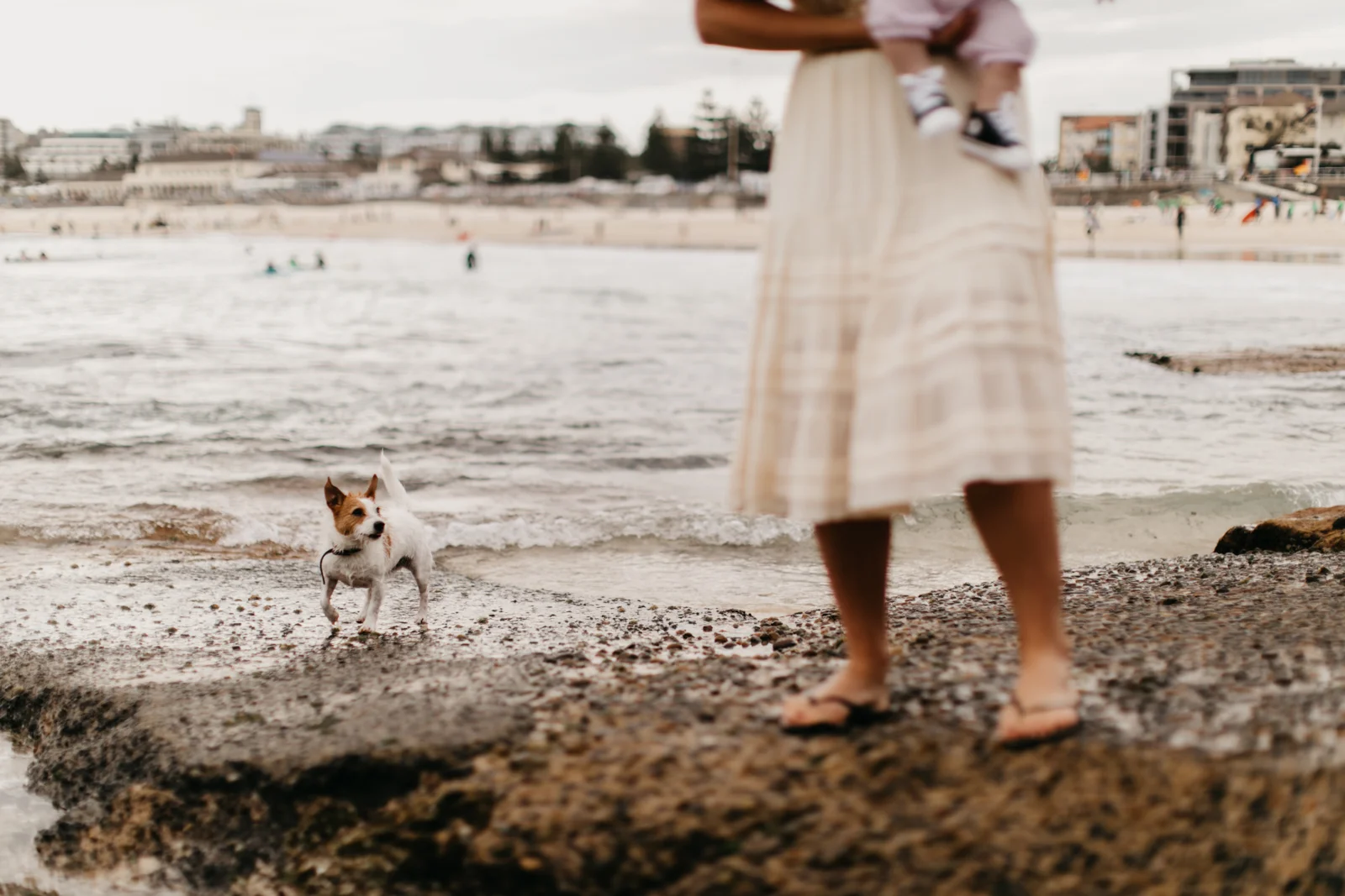 The Adams - Bondi Beach, Australia
