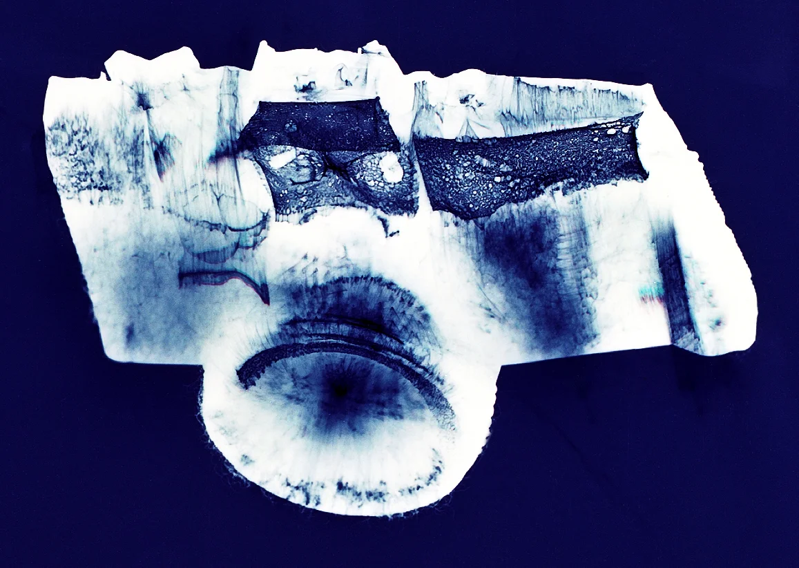 Camera #7, Penelope Davis, 1997, type c print, 70x97cm