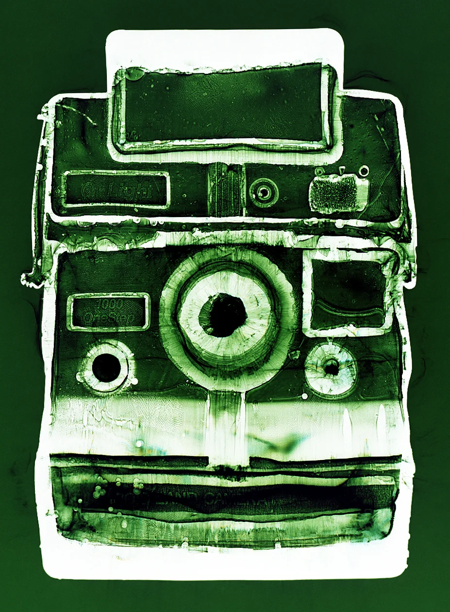 Polaroid (green), Penelope Davis, 2003, type c print, 125x94cm