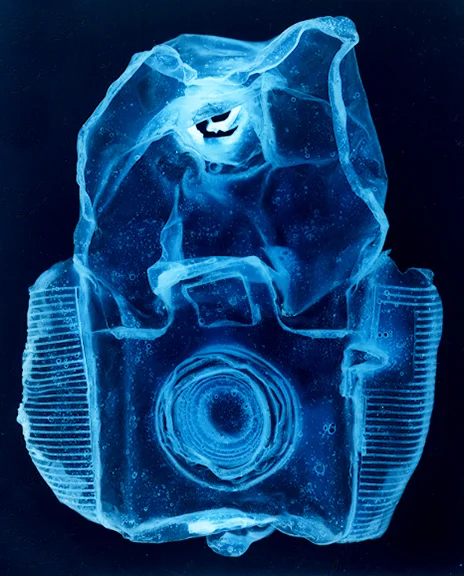 Blueprint #, Penelope Davis, 3 2008, type c print, 150x120cm