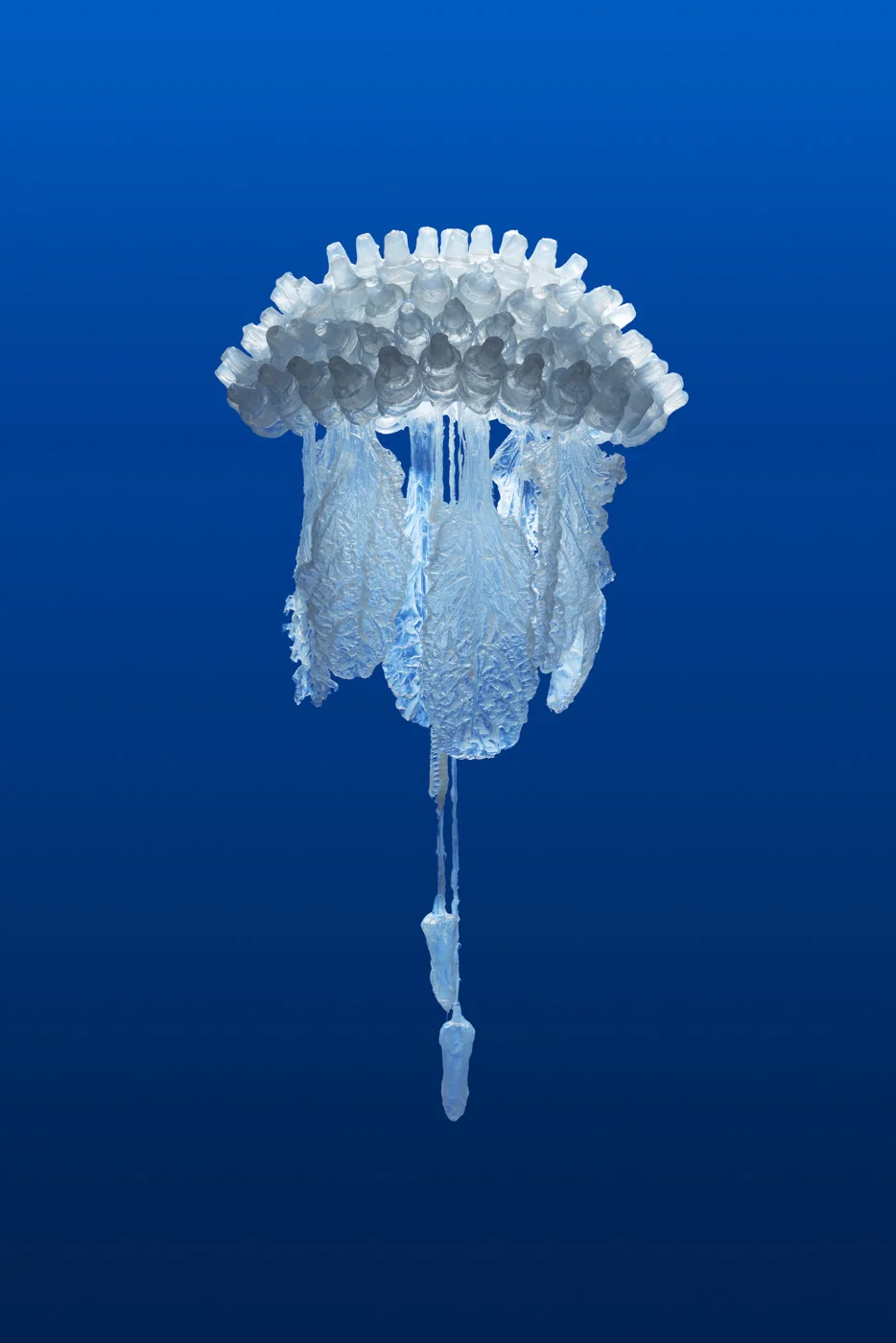 Sea-change (detail), Penelope Davis, 2017, silicone, nylon thread, plastic