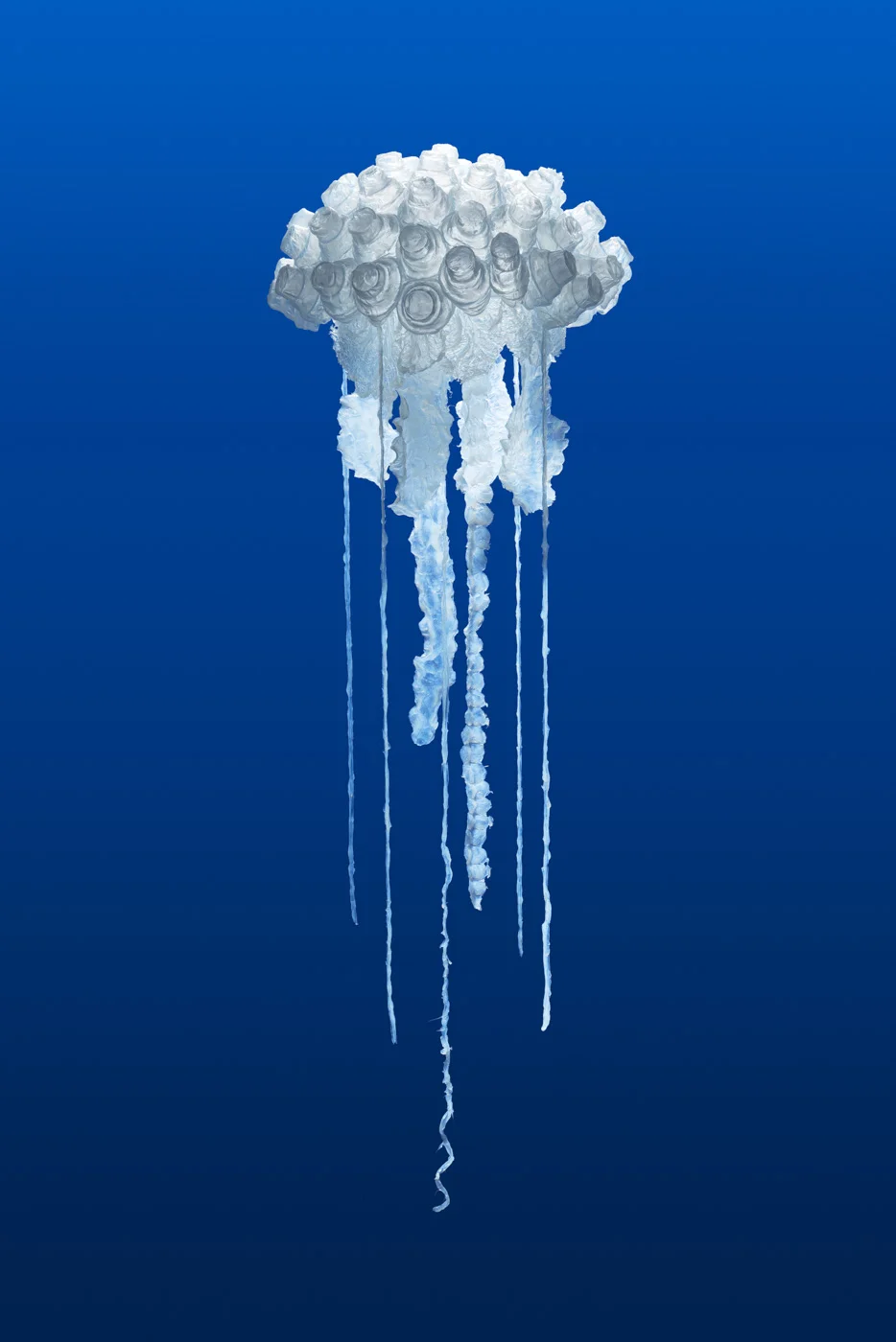 Sea-change (detail), Penelope Davis, 2017, silicone, nylon thread, plastic