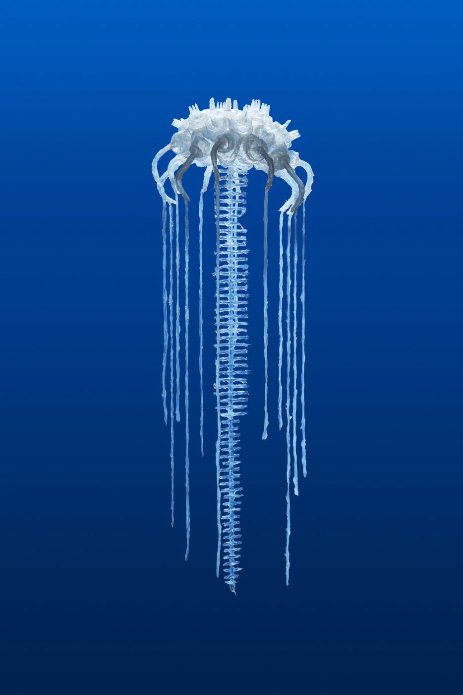Sea-change (detail), Penelope Davis, 2017, silicone, nylon thread, plastic