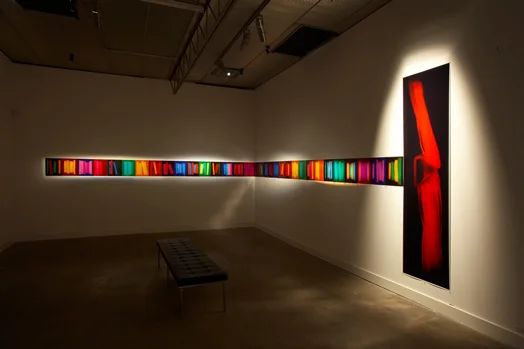 Index, Penelope Davis, 2008, type c prints, 33 images @ 37x29cm & 1 image @ 240x62cm