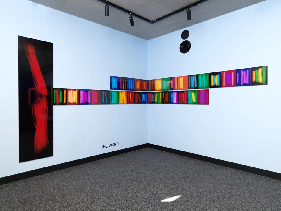 Index, Penelope Davis, 2008 (installation Justin Art House Museum, Divine Abstraction , 2016), type c prints, 33 images @ 37x29cm & 1 image @ 240x62cm