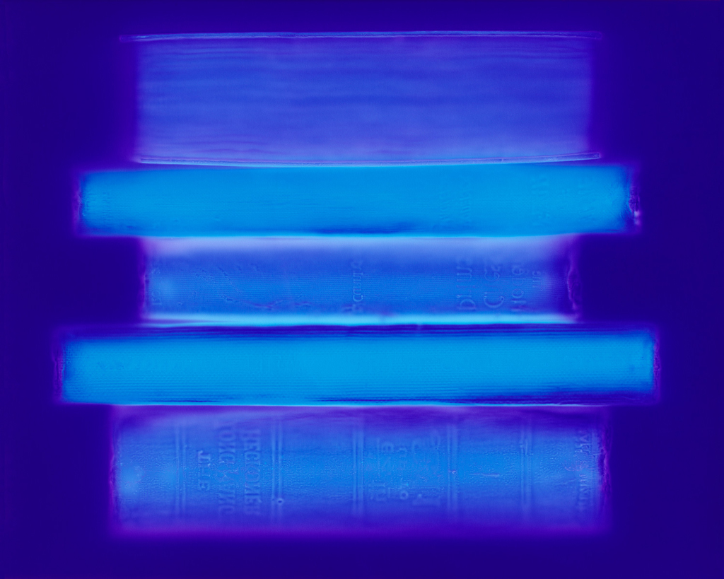 Archive, Penelope Davis, 2008, type c print, 80x100 & 120x150cm