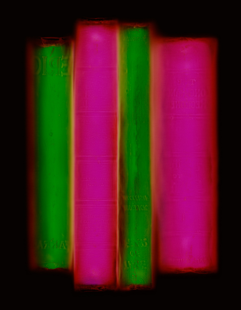 Archive (green/pink), Penelope Davis, 2008, type c print, 100x80 & 150x120cm