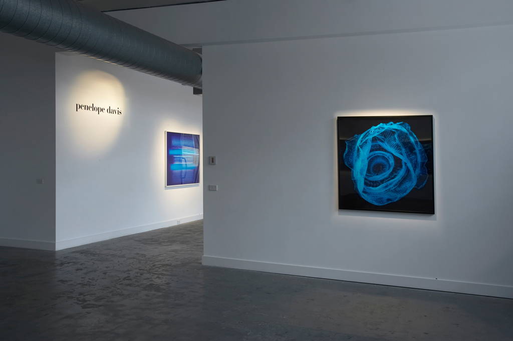 Fiction-non-fiction, Penelope Davis, installation view, Nellie Castan Gallery (VIC) 2008