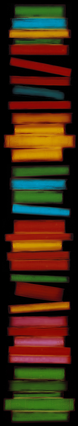 Spine, Penelope Davis, 2005, type c print, 169x34cm