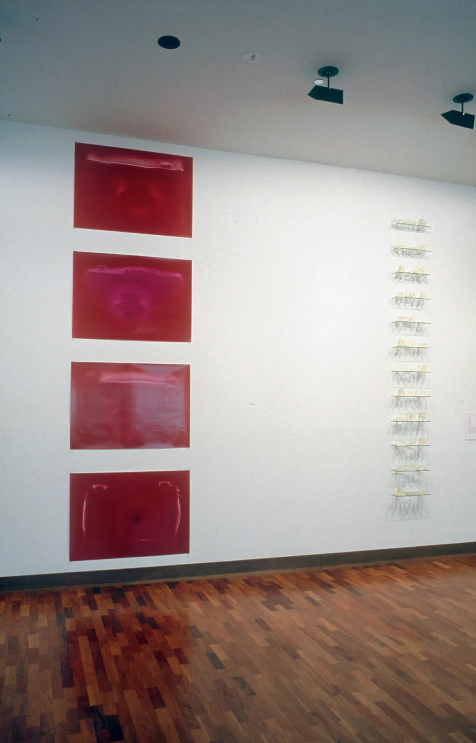 Penumbra (detail) 1998, Penelope Davis,The Ian Potter Museum of Art (VIC), type c prints, resin, glass