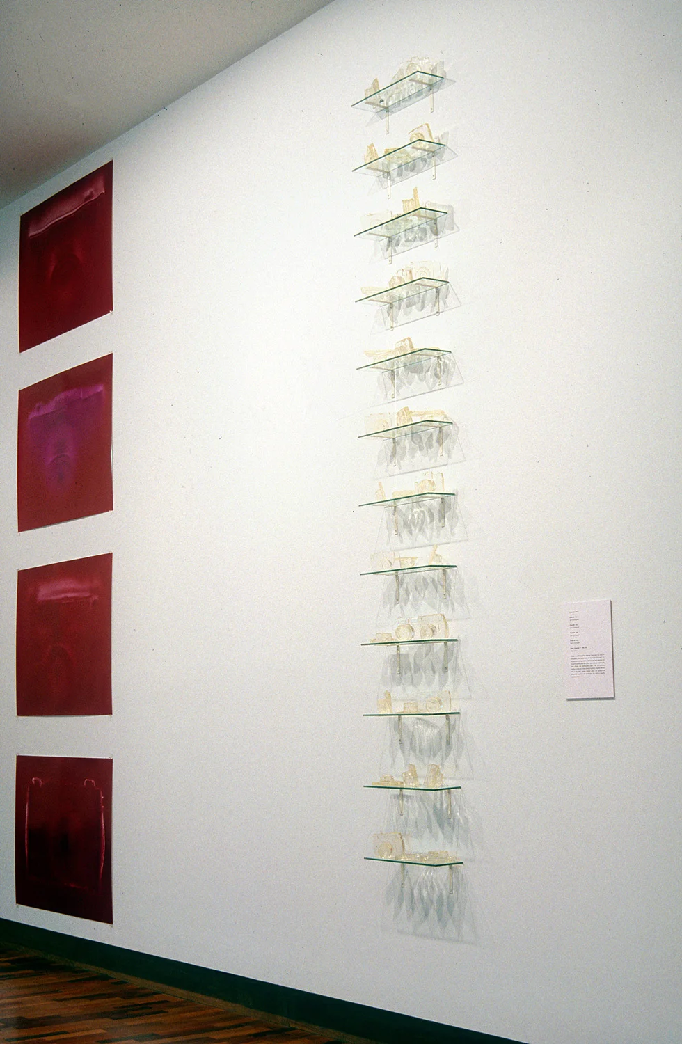 Penumbra (detail), Penelope Davis, 1998, The Ian Potter Museum of Art (VIC), type c prints, resin, glass