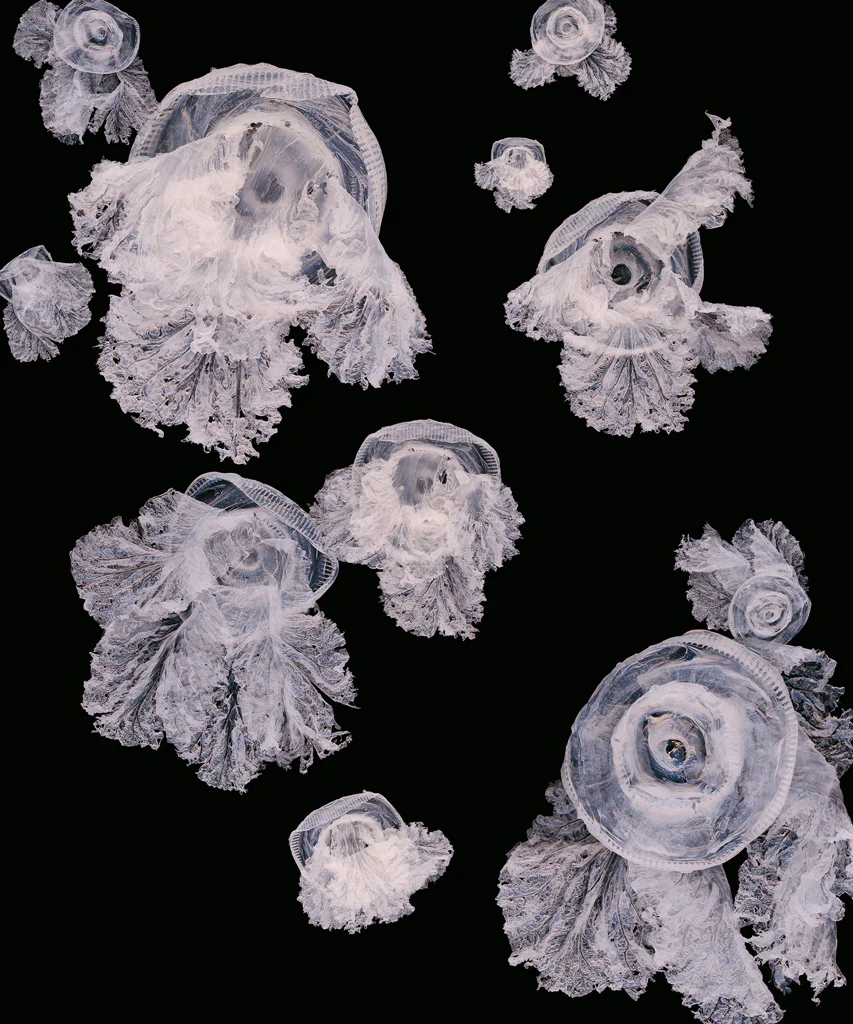 Smack, Penelope Davis, 2011, type C print, 120x100cm