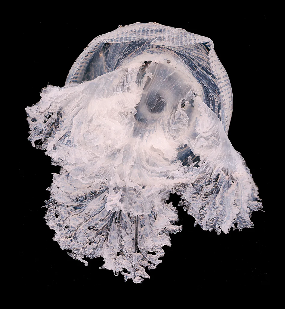 Untitled, Penelope Davis, 2011, type C print, 32x30cm