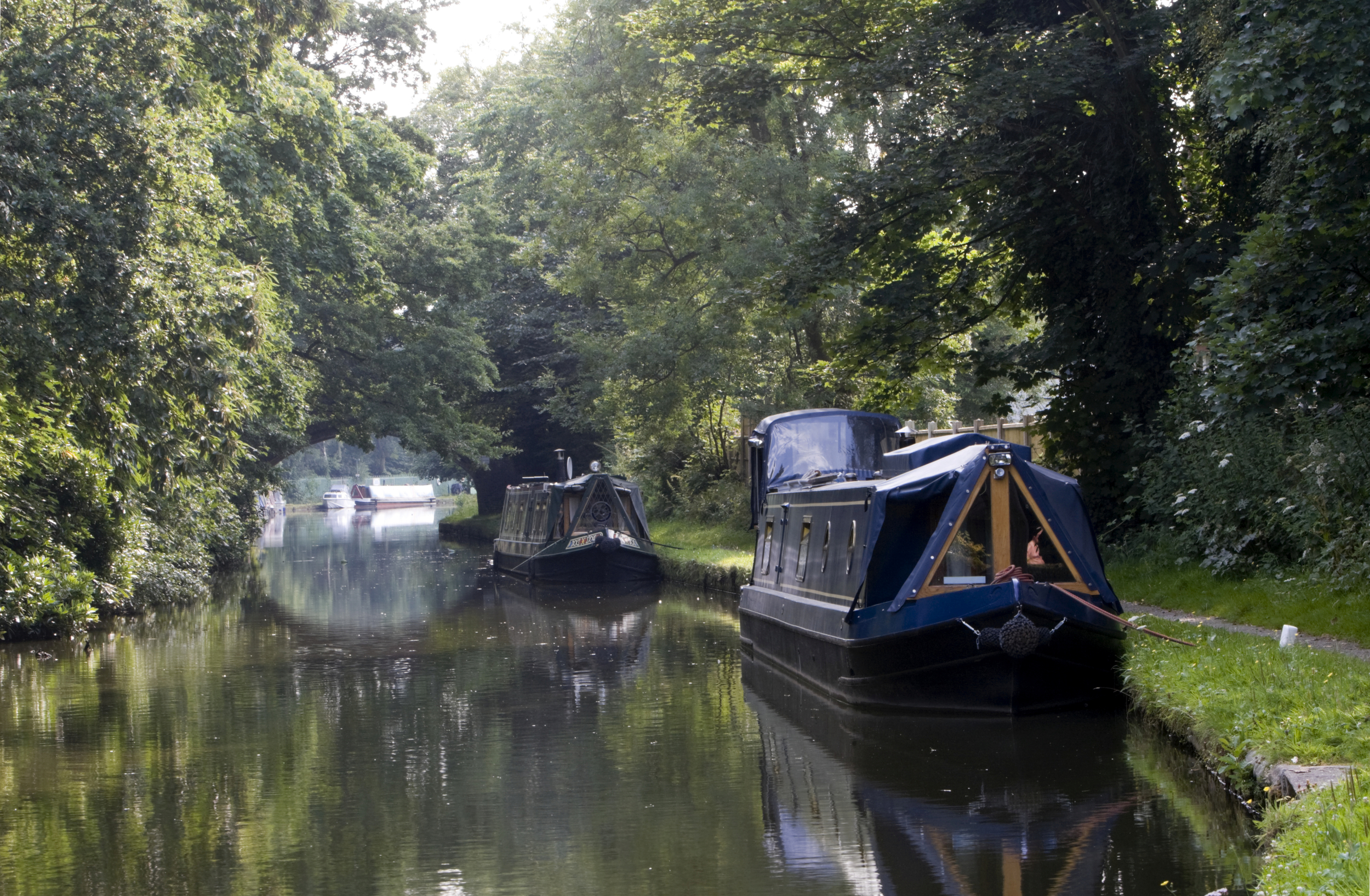 White_Mills_Marina_boats_moored.jpg