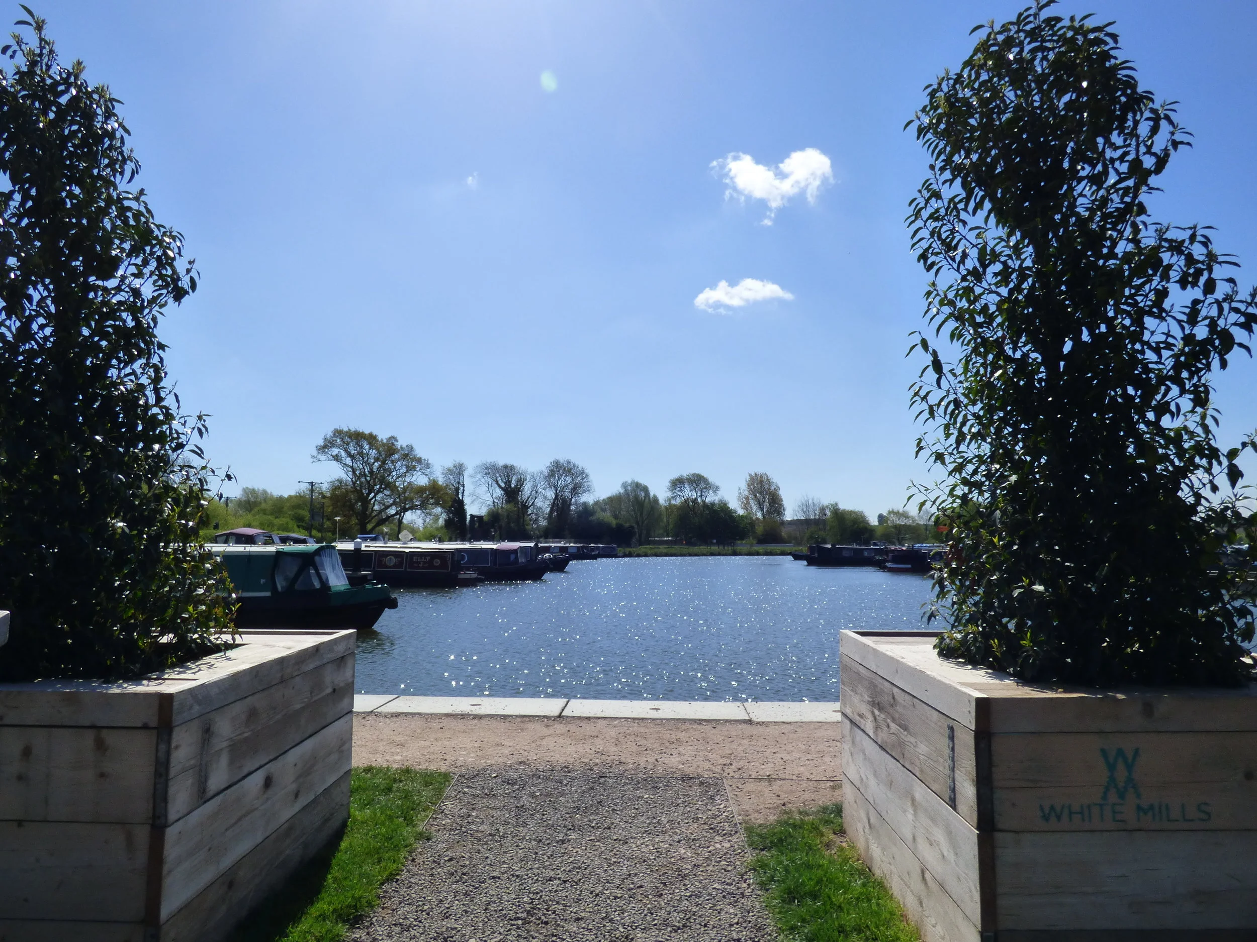 P1020615 - Copy - Copy - Copy - Copy.JPG