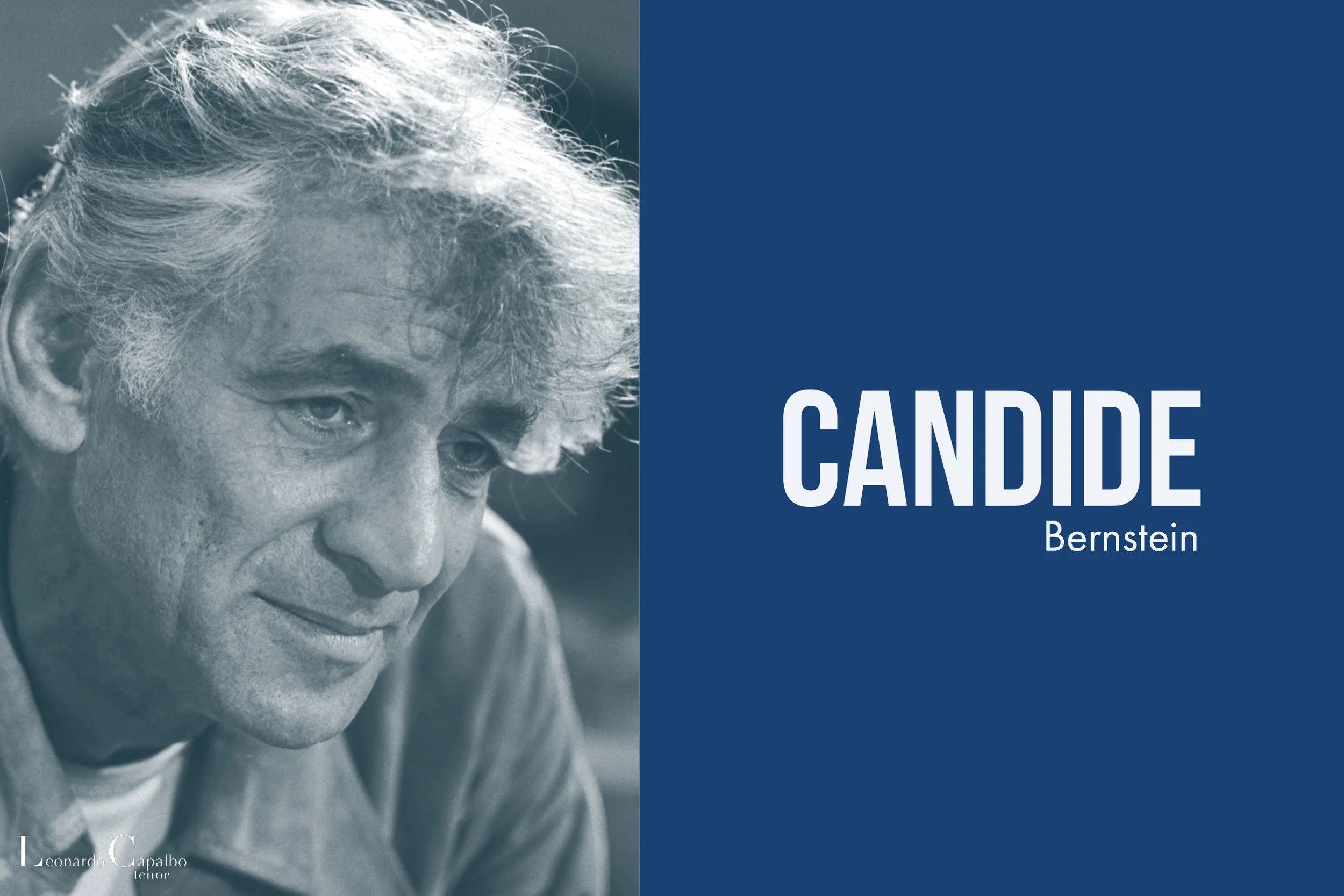 Candide Placard.jpg