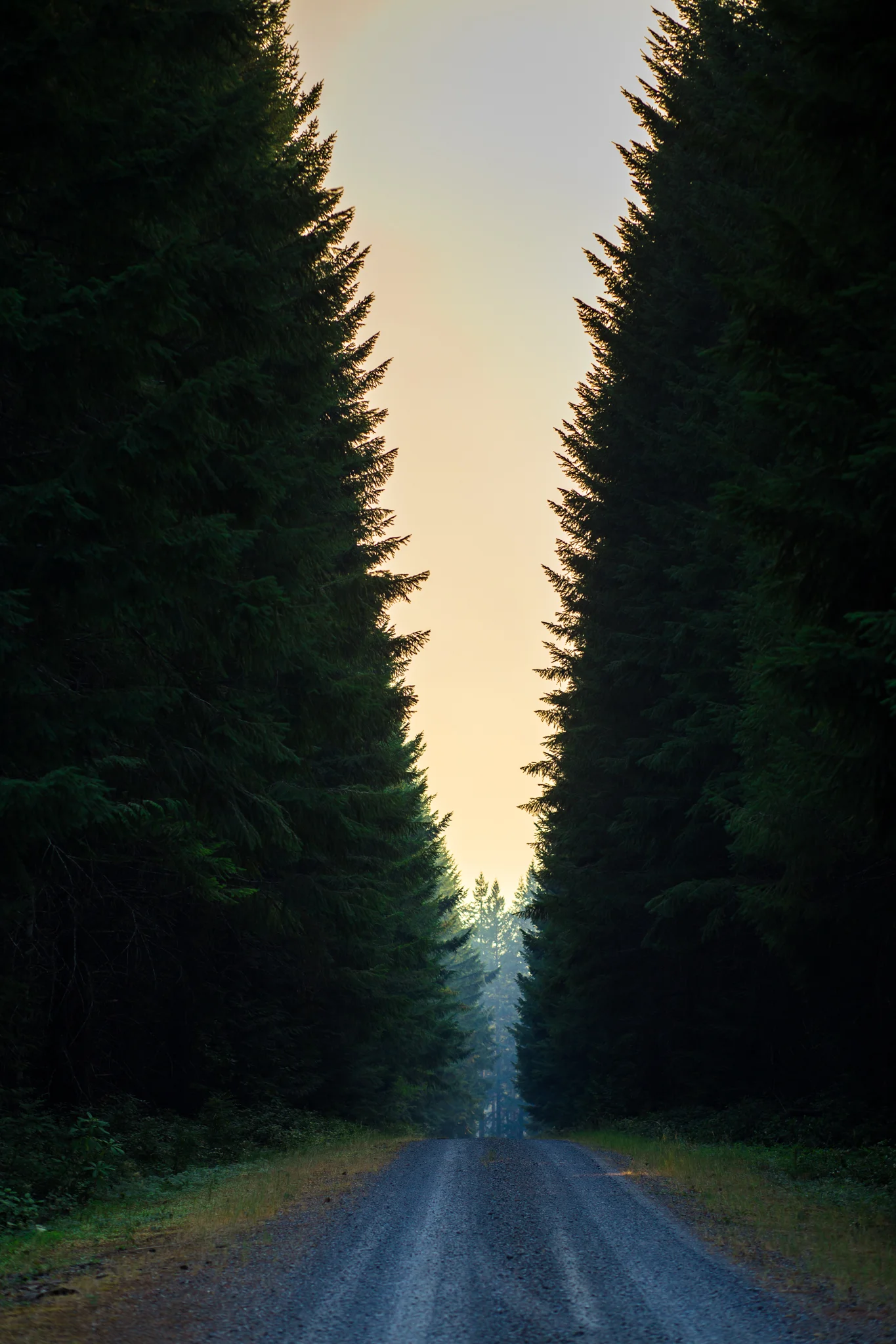 travel-31.jpg