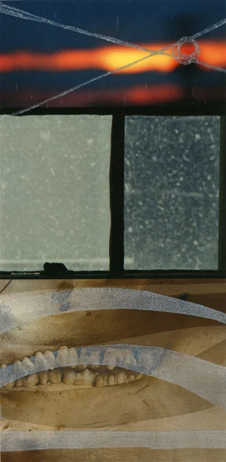 digiwood1.jpg