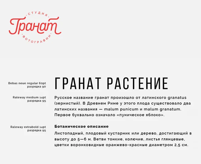 ↑ Фирменная типографика.