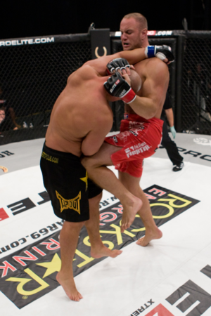 MMA Standup Muay Thai Clinch with Knee.jpg