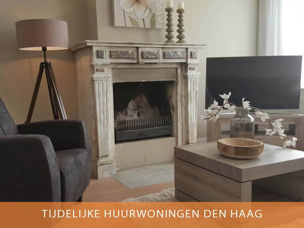 den haag modern 4.jpg