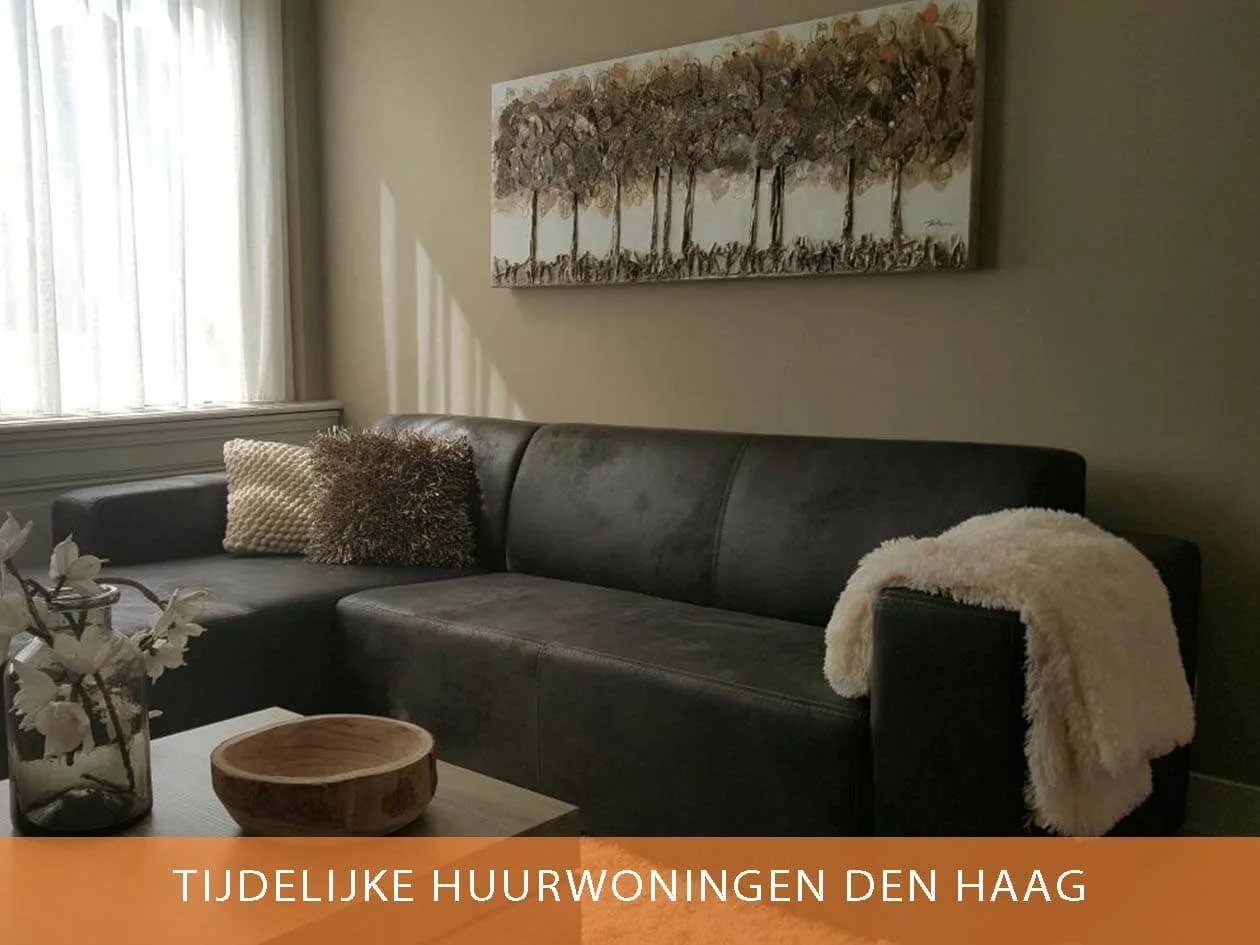 den haag modern 2.jpg