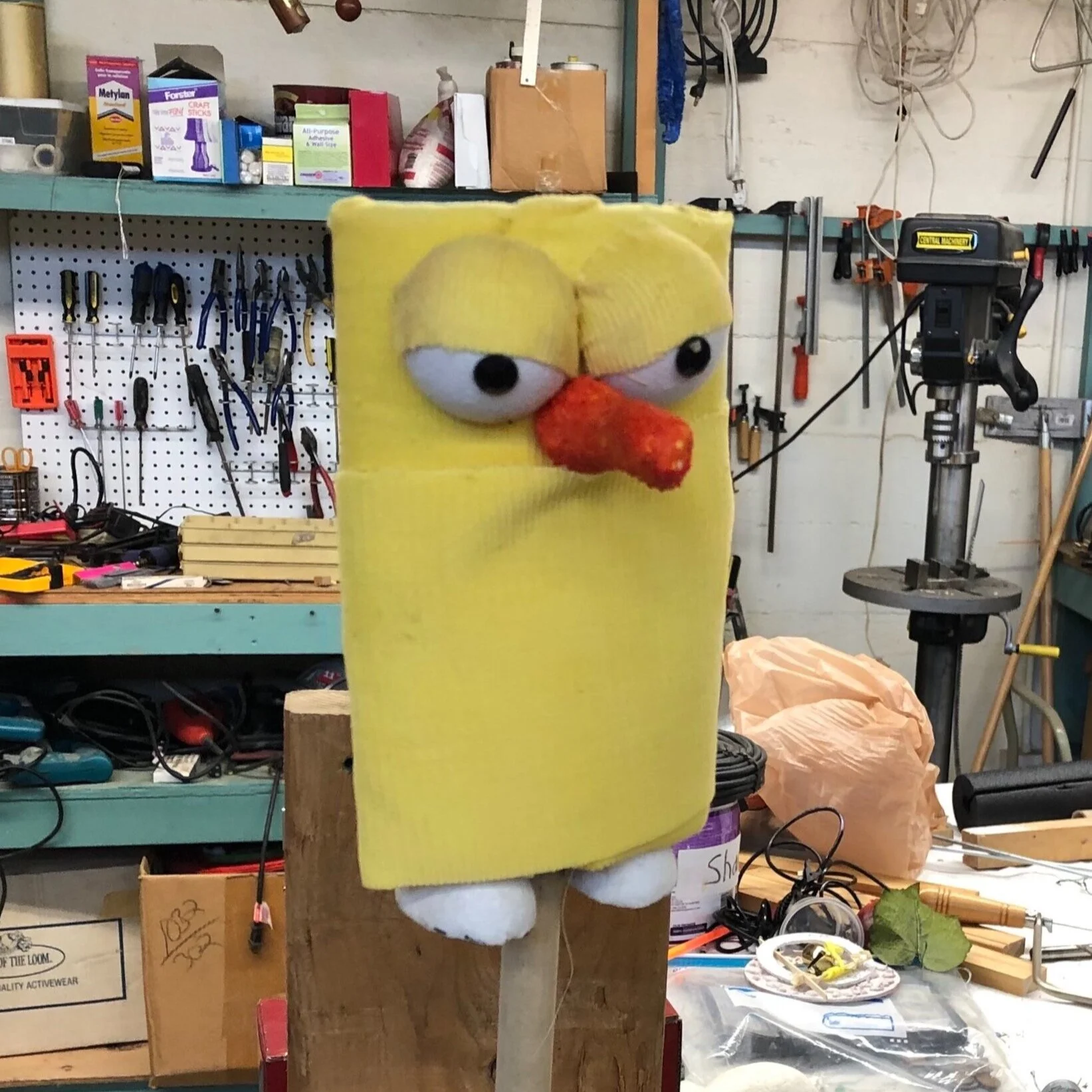 image-asset.jpg