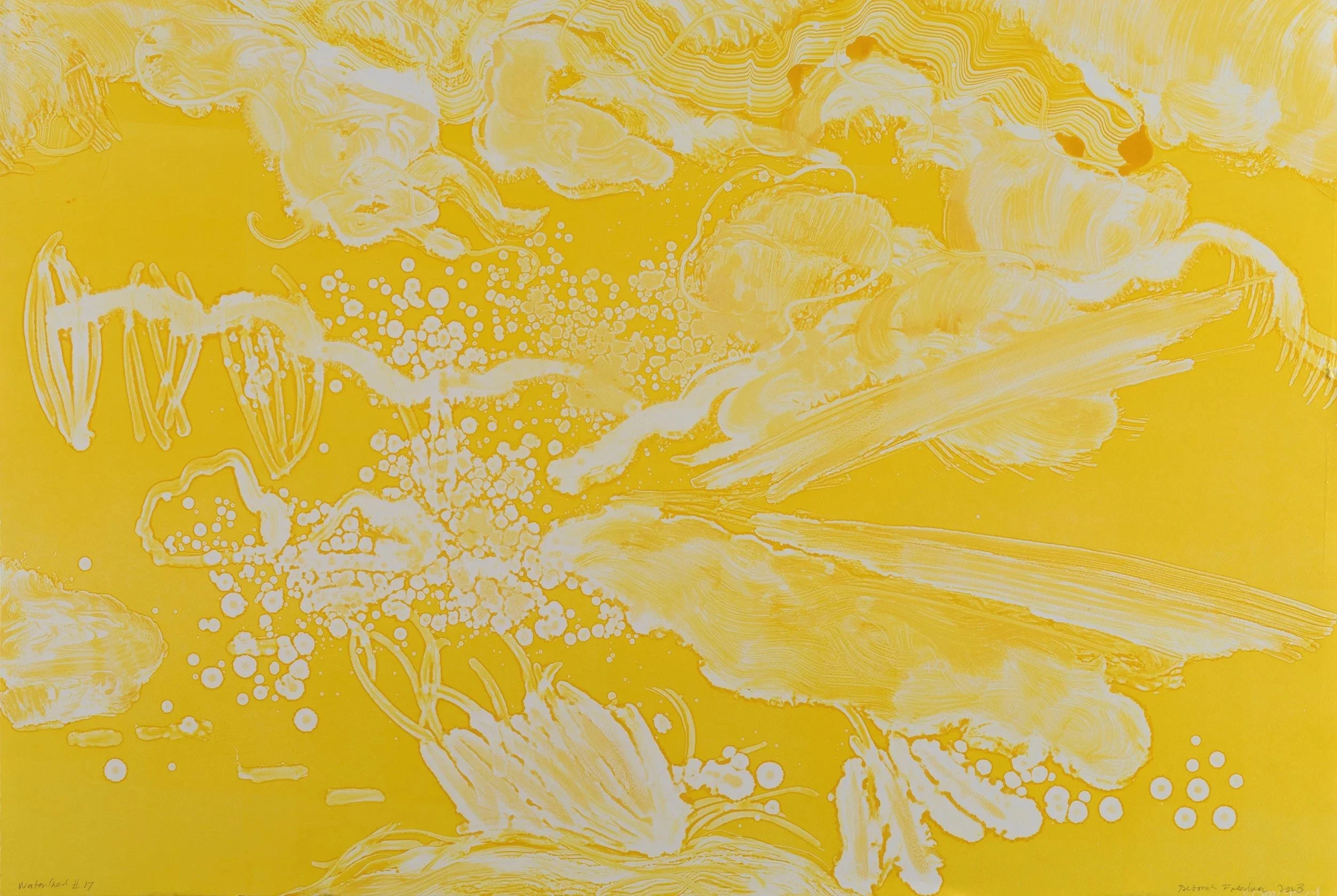  Watershed #17. Monoprint. paper and image size 28×42”. 