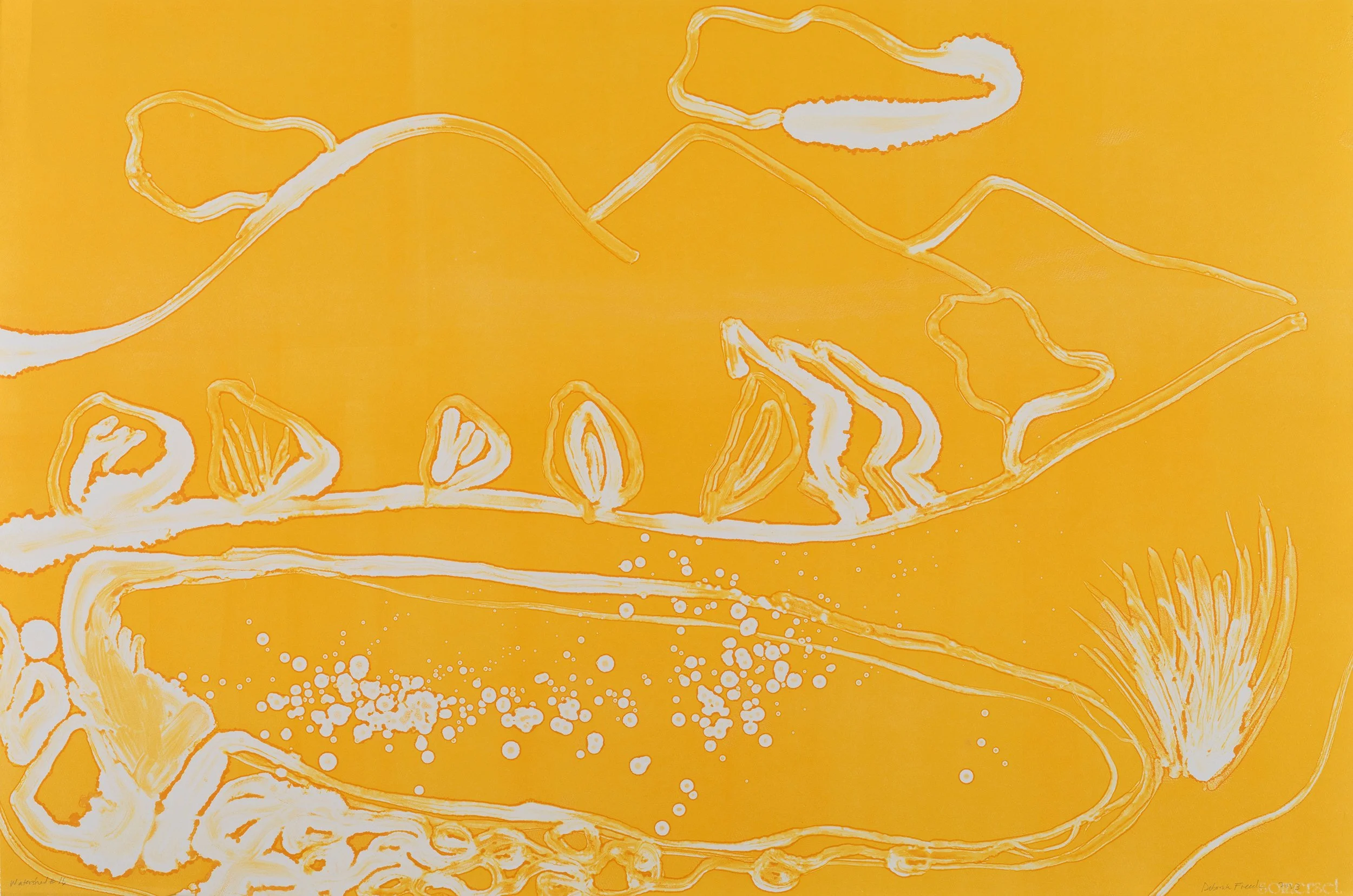  Watershed #16. Monoprint. paper and image size 28 × 42” 