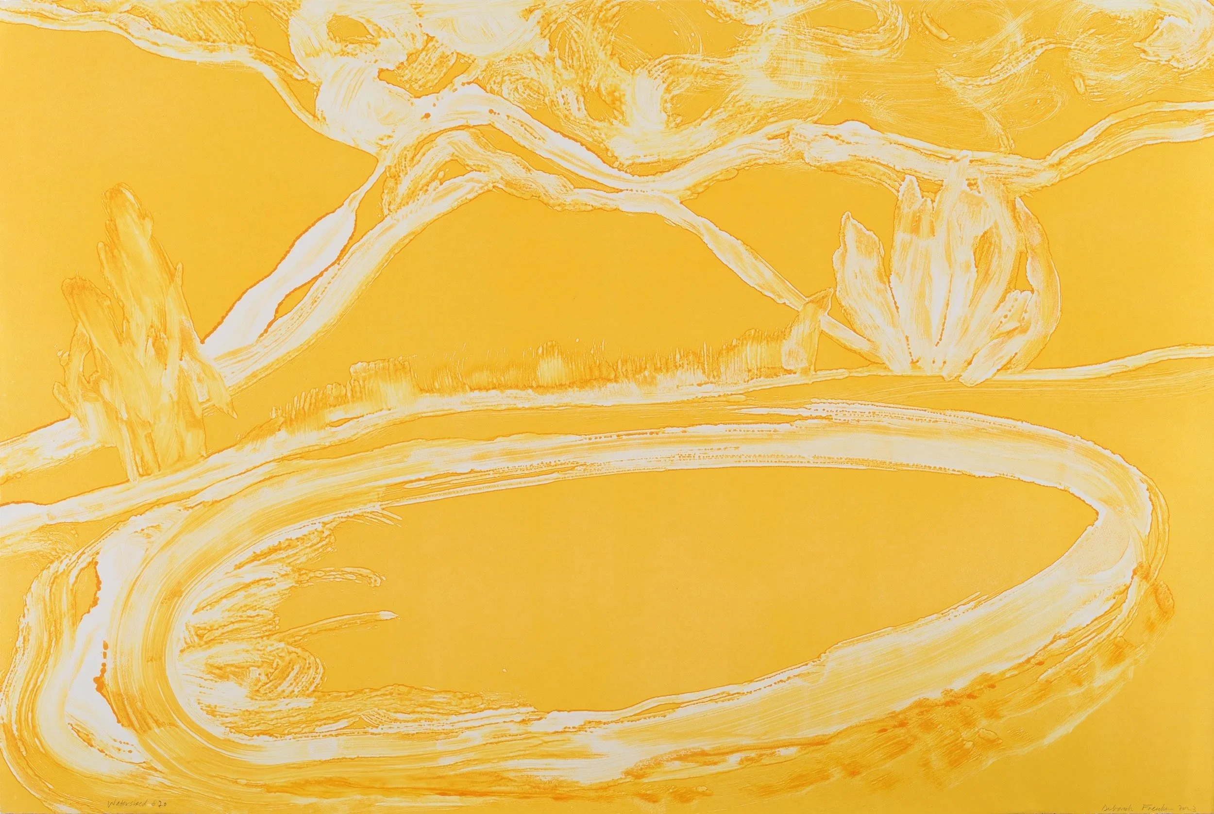  Watershed #20. Monoprint. paper and image size 28 × 42” 